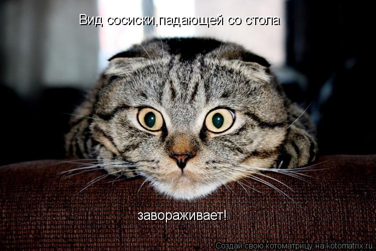 Вид сосиски,падающей со стола завораживает!... Котоматрица: Вид сосиски,падающей со стола завораживает!