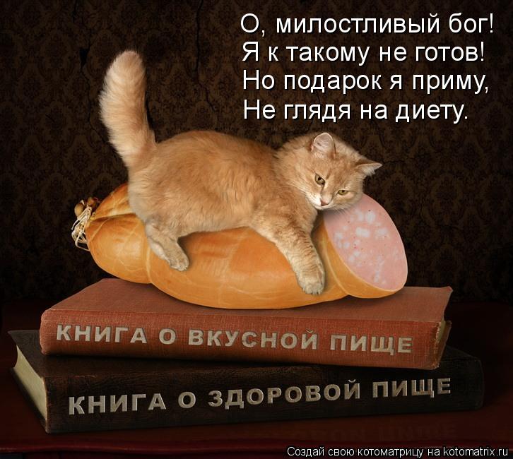 Котоматрица: О, милостливый бог! Я к такому не готов! Но подарок я приму, Не глядя на диету.