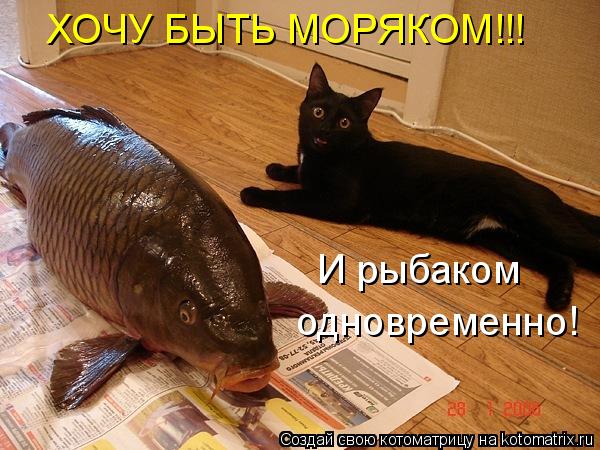 Котоматрица: ХОЧУ БЫТЬ МОРЯКОМ!!! И рыбаком  одновременно!