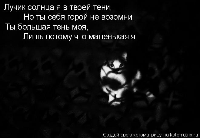 Котоматрица: Лучик солнца я в твоей тени, Но ты себя горой не возомни, Ты большая тень моя, Лишь потому что маленькая я.