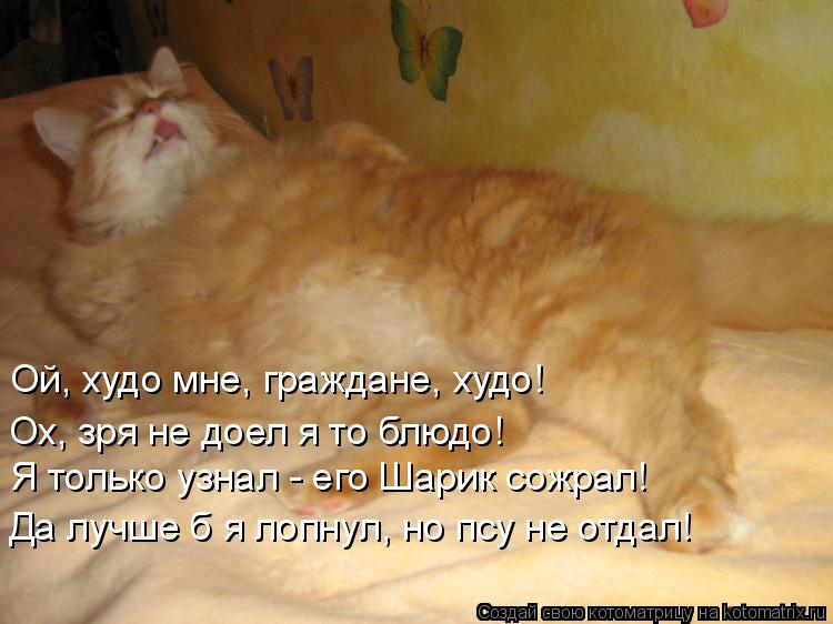 Ой, худо мне, граждане, худо! Ох, зря не доел я то блюдо! Я только узнал - его Шарик сожрал! Да ... Котоматрица: Ой, худо мне, граждане, худо! Ох, зря не доел я то блюдо! Я только узнал - его Шарик сожрал! Да лучше б я лопнул, но псу не отдал!