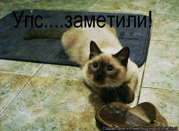 Котоматрица: Упс....заметили!