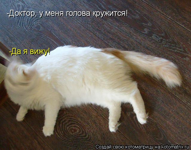 Котоматрица: -Доктор, у меня голова кружится! -Да я вижу!