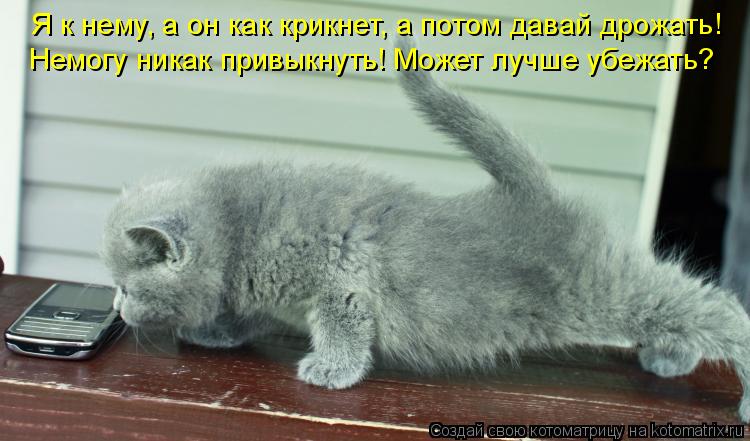 Я к нему, а он как крикнет, а потом давай дрожать! Немогу никак привыкнуть! Может лучше убежать?... Котоматрица: Я к нему, а он как крикнет, а потом давай дрожать! Немогу никак привыкнуть! Может лучше убежать?