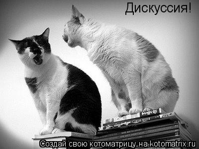 Дискуссия!... Котоматрица: Дискуссия!