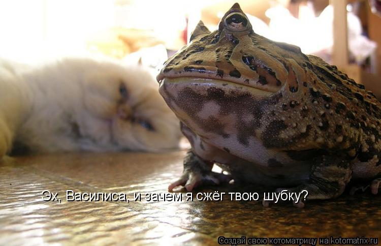 Котоматрица: Эх, Василиса, и зачем я сжёг твою шубку?