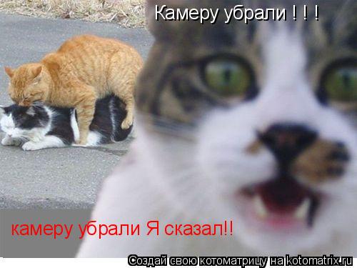 Камеру убрали ! ! ! камеру убрали Я сказал!!... Котоматрица: Камеру убрали ! ! ! камеру убрали Я сказал!!