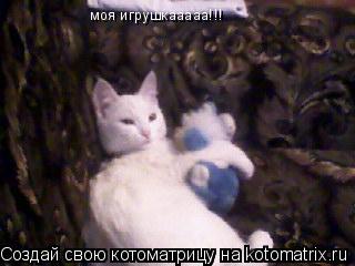 моя игрушкааааа!!!... Котоматрица: моя игрушкааааа!!!