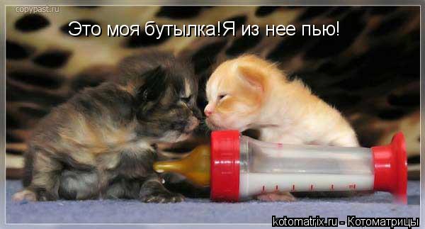 Это моя бутылка!Я из нее пью!... Котоматрица: Это моя бутылка!Я из нее пью!