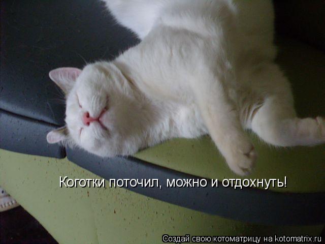 Коготки поточил, можно и отдохнуть!... Котоматрица: Коготки поточил, можно и отдохнуть!