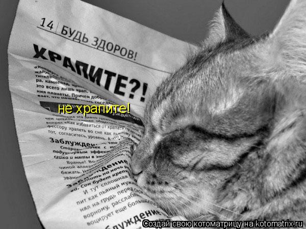 не храпите!... Котоматрица: не храпите!