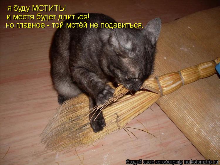 я буду МСТИТЬ! и местя будет длиться! но главное - той мстёй не подавиться.... Котоматрица: я буду МСТИТЬ! и местя будет длиться! но главное - той мстёй не подавиться.