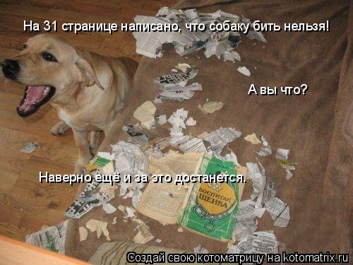На 31 странице написано, что собаку бить нельзя! А вы что? Наверно ещё и за это достанется.... Котоматрица: На 31 странице написано, что собаку бить нельзя! А вы что? Наверно ещё и за это достанется.