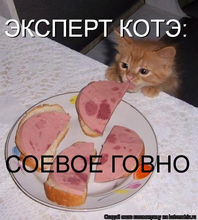 СОЕВОЕ ГОВНО ЭКСПЕРТ КОТЭ: ЭКСПЕРТ КОТЭ:... Котоматрица: СОЕВОЕ ГОВНО ЭКСПЕРТ КОТЭ: ЭКСПЕРТ КОТЭ: