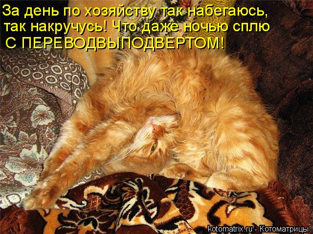 С ПЕРЕВОДВЫПОДВЕРТОМ! так накручусь! Что даже ночью сплю За день по хозяйству так набегаюсь,... Котоматрица: С ПЕРЕВОДВЫПОДВЕРТОМ! так накручусь! Что даже ночью сплю За день по хозяйству так набегаюсь,
