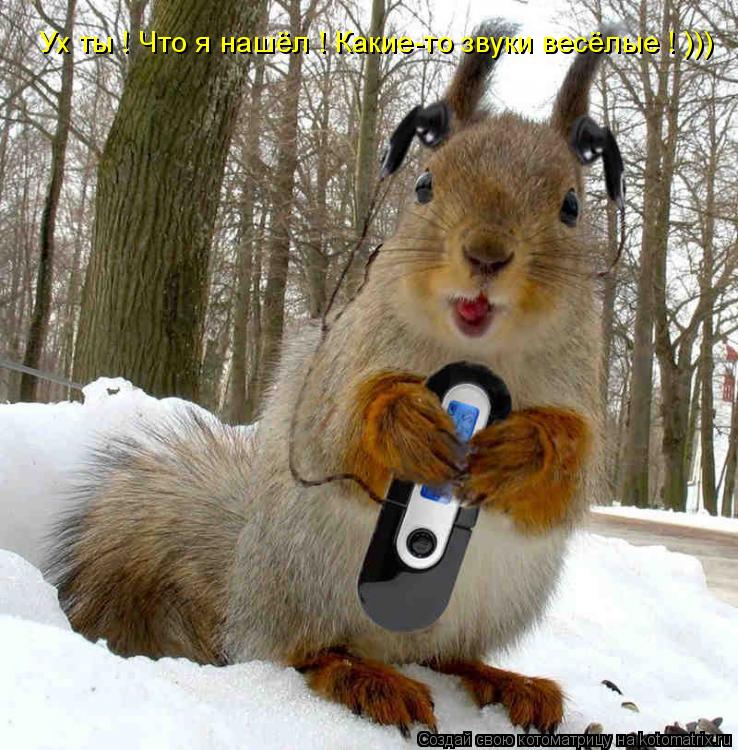 Ух ты ! Что я нашёл ! Какие-то звуки весёлые ! )))... Котоматрица: Ух ты ! Что я нашёл ! Какие-то звуки весёлые ! )))
