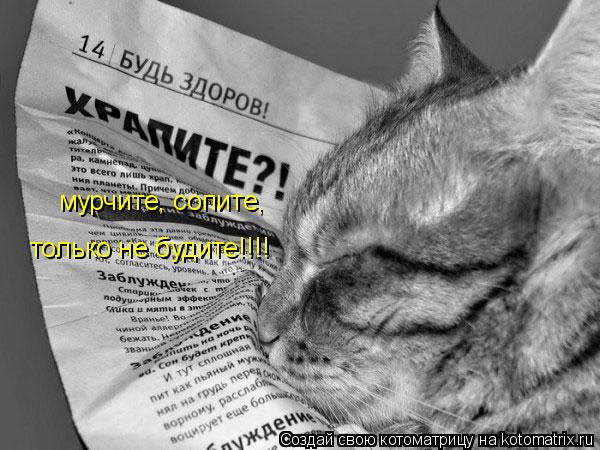 мурчите, сопите, только не будите!!!!... Котоматрица: мурчите, сопите, только не будите!!!!