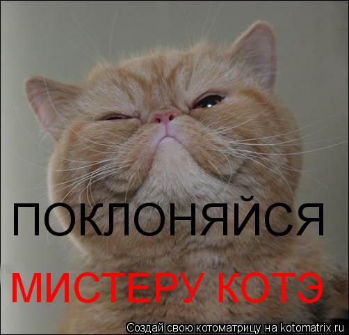 ПОКЛОНЯЙСЯ МИСТЕРУ КОТЭ... Котоматрица: ПОКЛОНЯЙСЯ МИСТЕРУ КОТЭ