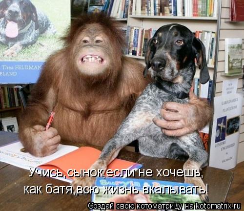 Учись,сынок,если не хочешь, как батя,всю жизнь вкалывать!... Котоматрица: Учись,сынок,если не хочешь, как батя,всю жизнь вкалывать!
