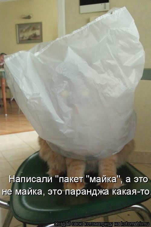 Написали "пакет "майка", а это не майка, это паранджа какая-то.... Котоматрица: Написали "пакет "майка", а это не майка, это паранджа какая-то.