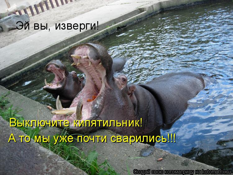 Эй вы, изверги! Выключите кипятильник! А то мы уже почти сварились!!!... Котоматрица: Эй вы, изверги! Выключите кипятильник! А то мы уже почти сварились!!!