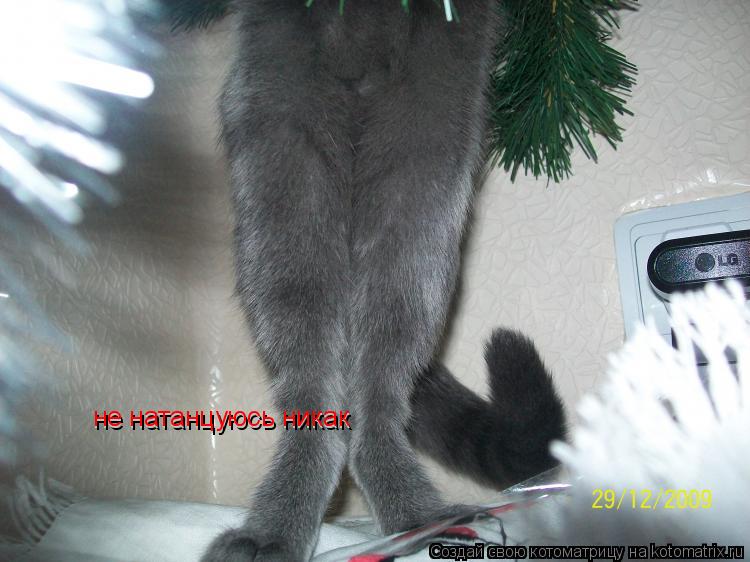 не натанцуюсь никак не натанцуюсь никак... Котоматрица: не натанцуюсь никак не натанцуюсь никак