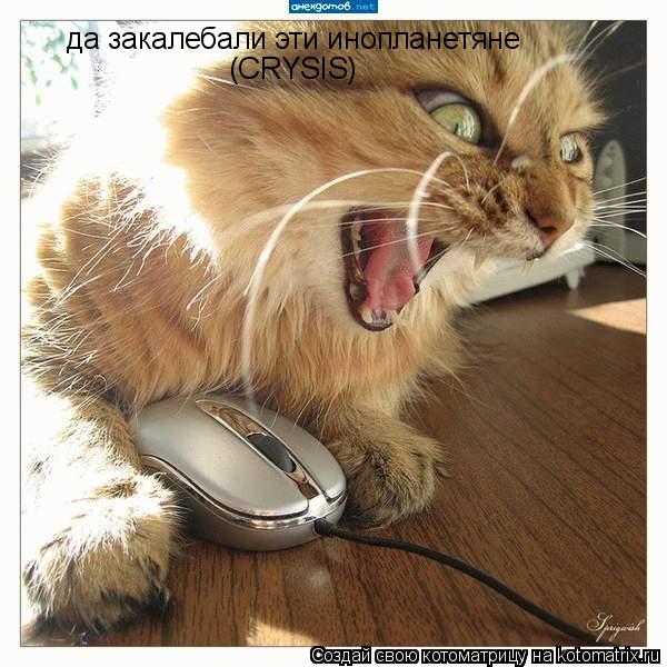 да закалебали эти инопланетяне (CRYSIS)... Котоматрица: да закалебали эти инопланетяне (CRYSIS)