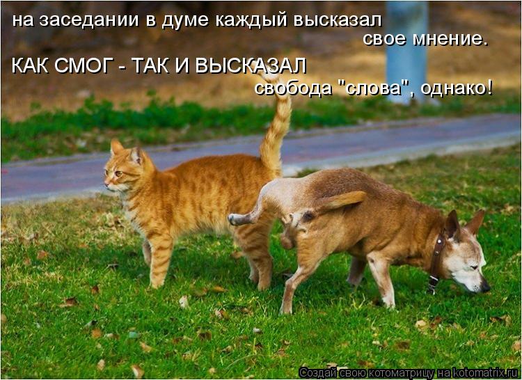 на заседании в думе каждый высказал свое мнение. КАК СМОГ - ТАК И ВЫСКАЗАЛ свобода "слова", однако!... Котоматрица: на заседании в думе каждый высказал свое мнение. КАК СМОГ - ТАК И ВЫСКАЗАЛ свобода "слова", однако!