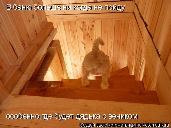 В баню больше ни когда не пойду особенно,где будет дядька с веником... Котоматрица: В баню больше ни когда не пойду особенно,где будет дядька с веником