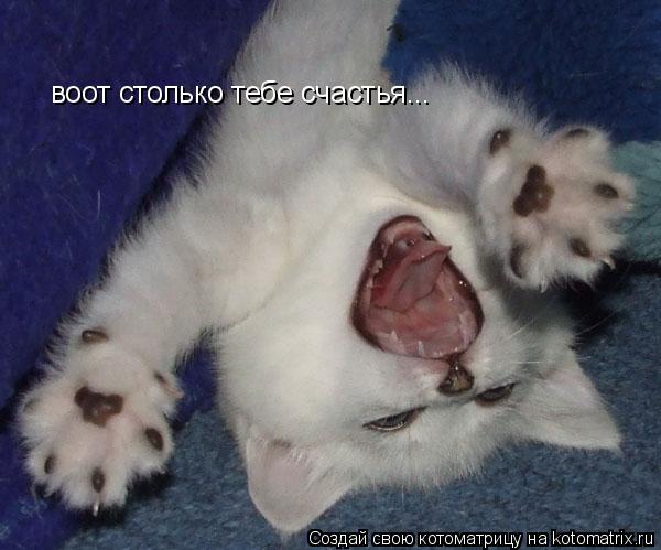 воот столько тебе счастья...... Котоматрица: воот столько тебе счастья...