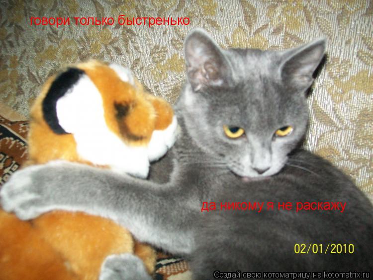 говори только быстренько да никому я не раскажу... Котоматрица: говори только быстренько да никому я не раскажу
