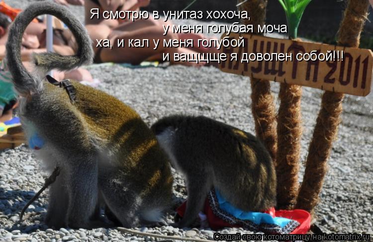 Я смотрю в унитаз хохоча, у меня голубая моча ха, и кал у меня голубой и ващщще я доволен собой!!!... Котоматрица: Я смотрю в унитаз хохоча, у меня голубая моча ха, и кал у меня голубой и ващщще я доволен собой!!!