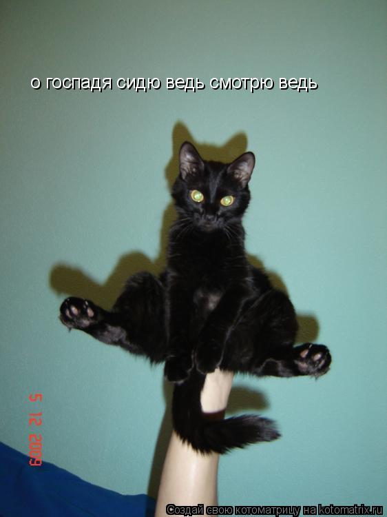 о госпадя сидю ведь смотрю ведь... Котоматрица: о госпадя сидю ведь смотрю ведь