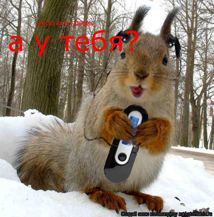 у всех есть плееры а у тебя?... Котоматрица: у всех есть плееры а у тебя?
