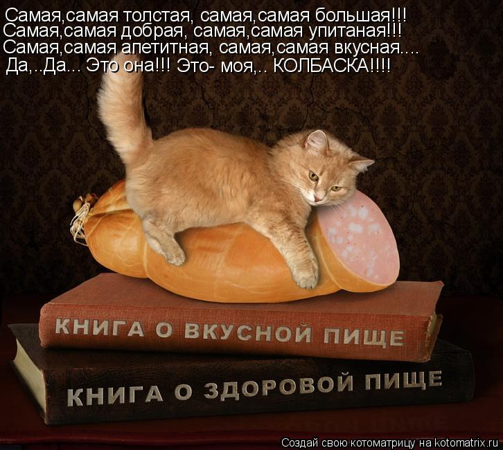 Самая,самая толстая, самая,самая большая!!! Самая,самая добрая, самая,самая упитаная!!! Самая,самая а... Котоматрица: Самая,самая толстая, самая,самая большая!!! Самая,самая добрая, самая,самая упитаная!!! Самая,самая апетитная, самая,самая вкусная.... Да,..Да...