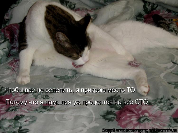 Чтобы вас не ослепить, я прикрою место ТО. Потому что я намылся уж процентов на все СТО.... Котоматрица: Чтобы вас не ослепить, я прикрою место ТО. Потому что я намылся уж процентов на все СТО.