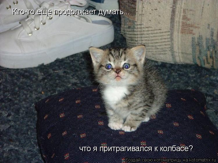 Кто-то ещё продолжает думать... что я притрагивался к колбасе?... Котоматрица: Кто-то ещё продолжает думать... что я притрагивался к колбасе?