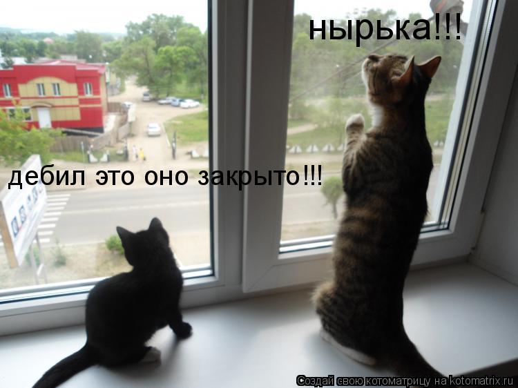 нырька!!! дебил это оно закрыто!!!... Котоматрица: нырька!!! дебил это оно закрыто!!!