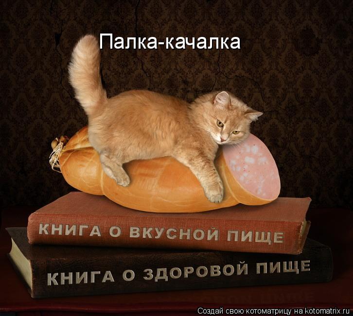 Палка-качалка... Котоматрица: Палка-качалка
