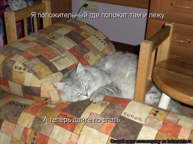 Я положительный где положат там и лежу. А теперь дайте по спать...... Котоматрица: Я положительный где положат там и лежу. А теперь дайте по спать...
