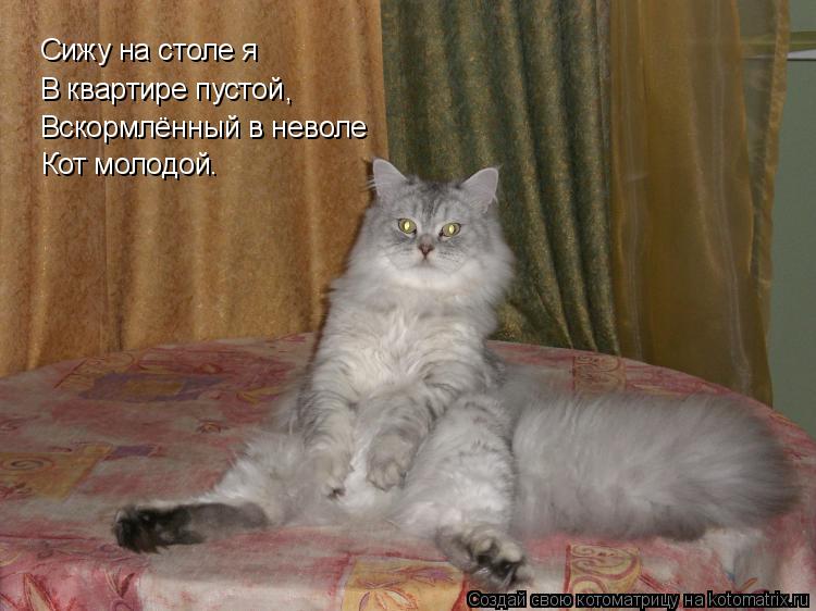 Сижу на столе я В квартире пустой , Вскормлённый в неволе Кот молодой.... Котоматрица: Сижу на столе я В квартире пустой , Вскормлённый в неволе Кот молодой.