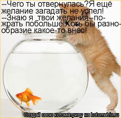--Чего ты отвернулась?Я ещё желание загадать не успел! --Знаю я твои желания--по- жрать побольше!Хот... Котоматрица: --Чего ты отвернулась?Я ещё желание загадать не успел! --Знаю я твои желания--по- жрать побольше!Хоть бы разно- образие какое-то внёс!