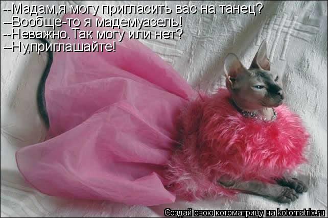 --Мадам,я могу пригласить вас на танец? --Вообще-то я мадемуазель! --Неважно.Так могу или нет? --Ну,п... Котоматрица: --Мадам,я могу пригласить вас на танец? --Вообще-то я мадемуазель! --Неважно.Так могу или нет? --Ну,приглашайте!