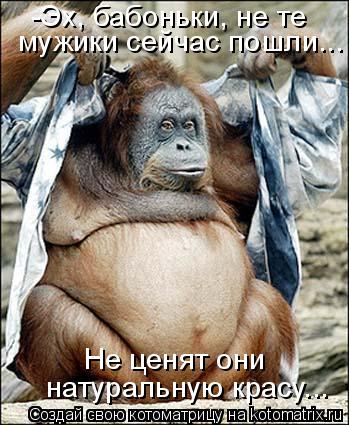-Эх, бабоньки, не те мужики сейчас пошли... Не ценят они натуральную красу...... Котоматрица: -Эх, бабоньки, не те мужики сейчас пошли... Не ценят они натуральную красу...