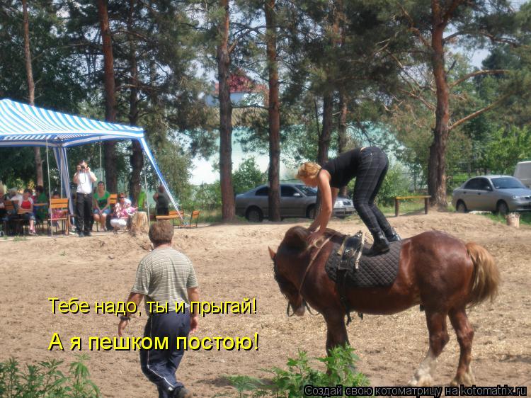 Тебе надо, ты и прыгай! А я пешком постою!... Котоматрица: Тебе надо, ты и прыгай! А я пешком постою!