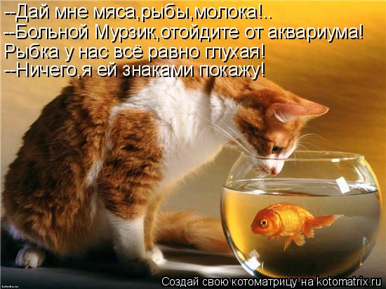 --Дай мне мяса,рыбы,молока!.. --Больной Мурзик,отойдите от аквариума! Рыбка у нас всё равно глухая! -... Котоматрица: --Дай мне мяса,рыбы,молока!.. --Больной Мурзик,отойдите от аквариума! Рыбка у нас всё равно глухая! --Ничего,я ей знаками покажу!