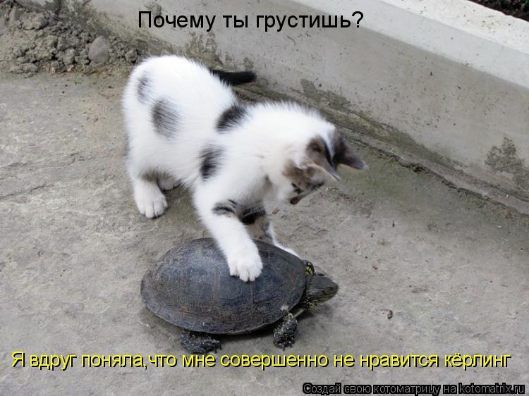 Я вдруг поняла,что мне совершенно не нравится кёрлинг Почему ты грустишь?... Котоматрица: Я вдруг поняла,что мне совершенно не нравится кёрлинг Почему ты грустишь?