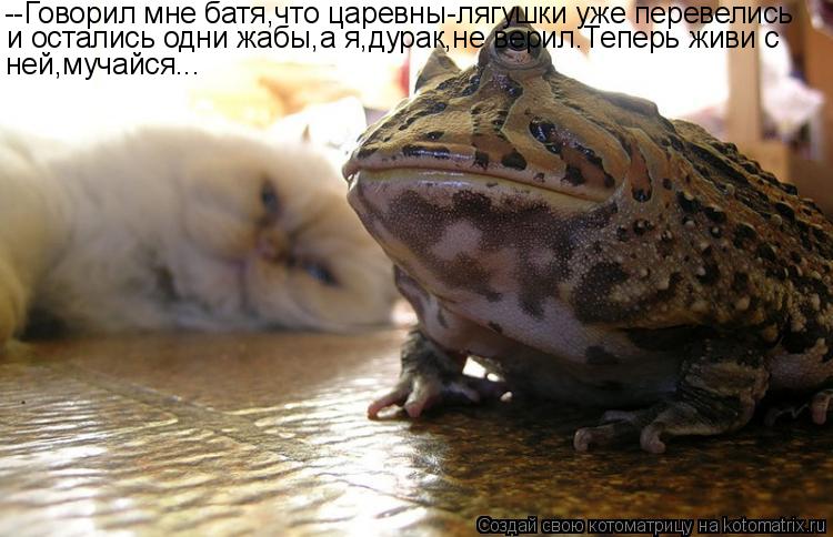 --Говорил мне батя,что царевны-лягушки уже перевелись и остались одни жабы,а я,дурак,не верил.Теперь ... Котоматрица: --Говорил мне батя,что царевны-лягушки уже перевелись и остались одни жабы,а я,дурак,не верил.Теперь живи с ней,мучайся...