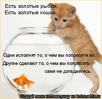 Есть золотые рыбки. Есть золотые кошки. Одни исполнят то, о чем вы попросите их. Другие сделают то, о... Котоматрица: Есть золотые рыбки. Есть золотые кошки. Одни исполнят то, о чем вы попросите их. Другие сделают то, о чем вы попросить сами не догадаетесь.