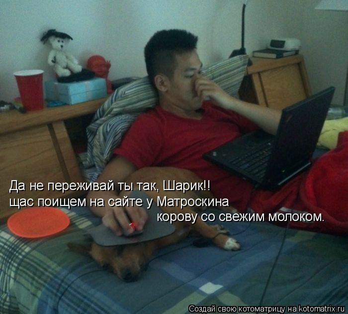 Да не переживай ты так, Шарик!! щас поищем на сайте у Матроскина корову со свежим молоком.... Котоматрица: Да не переживай ты так, Шарик!! щас поищем на сайте у Матроскина корову со свежим молоком.